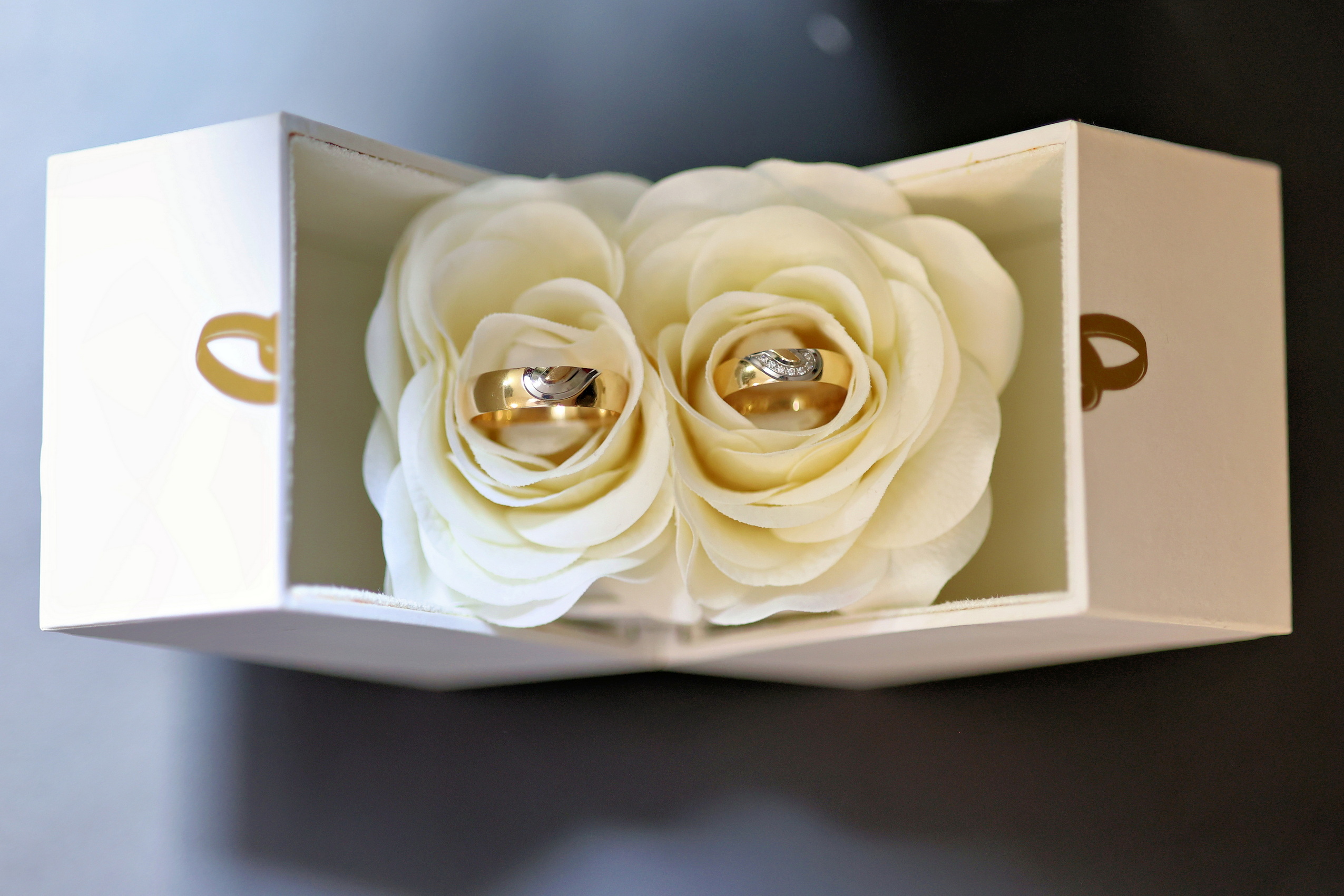 Tko smo i što možemo učiniti za Vas